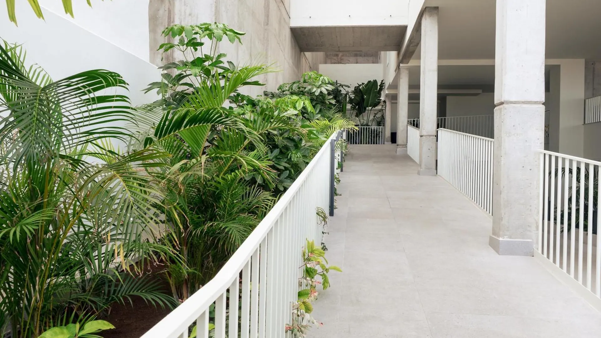 Apartment Abora Views, With Terrace, Office And Free Parking For Temporary Rentals Las Palmas de Gran Canaria
